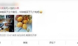 梨元在线观看,揭秘热门剧集背后的精彩故事